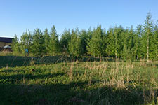 Участки у воды