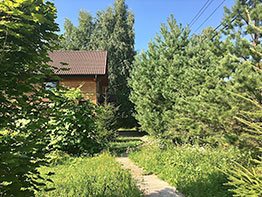 Дачи у леса