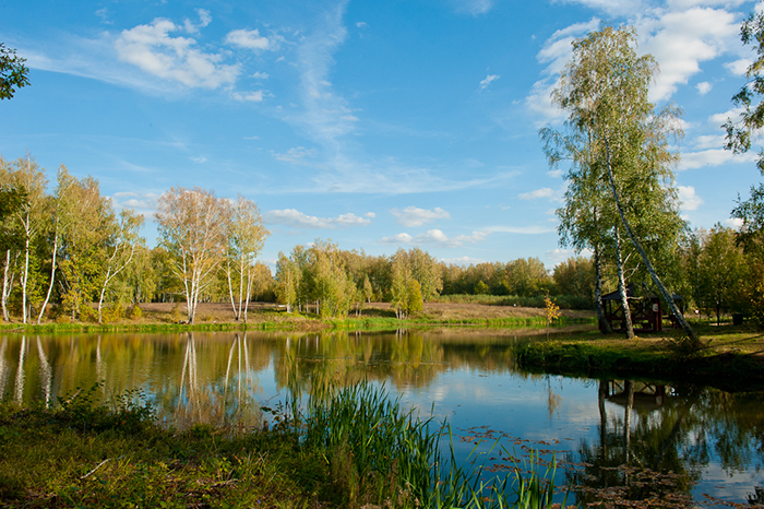 Романовские дачи