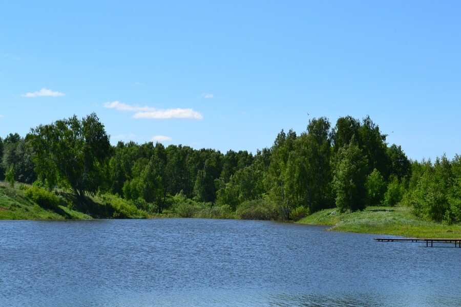 Весна на романовских дачах 2018