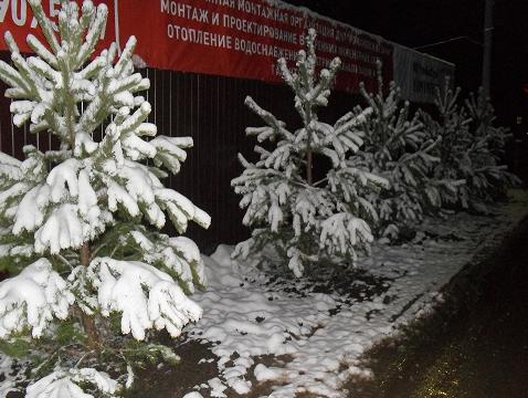 Романовские дачи в декабре