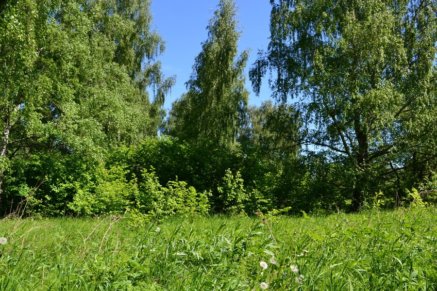 Весна на романовских дачах 2018