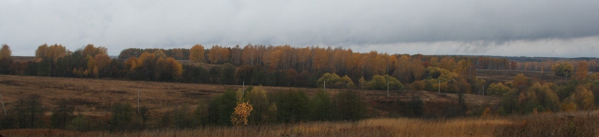 Осенние Романовские дачи!