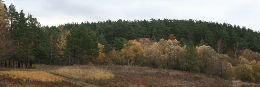 Осенние Романовские дачи!