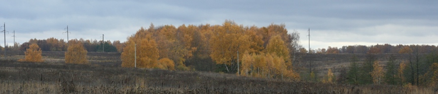 Осенние Романовские дачи!