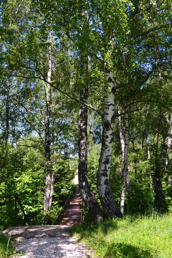 Весна на романовских дачах 2018