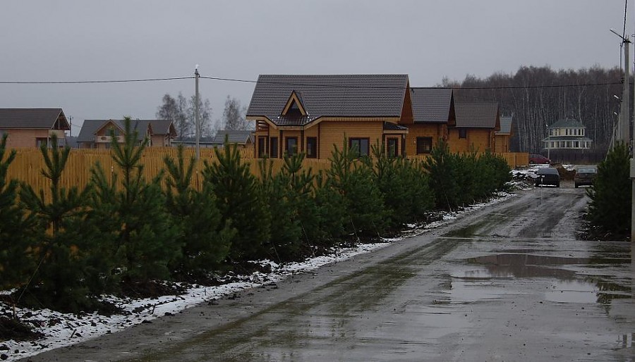 Романовские дачи в декабре