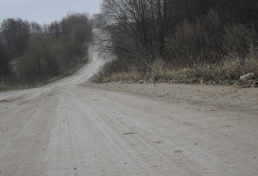 Осенние Романовские дачи!