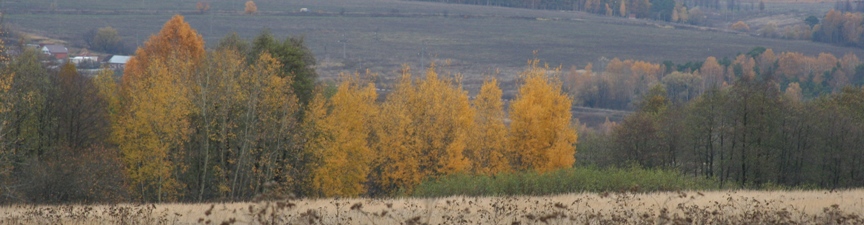 Осенние Романовские дачи!