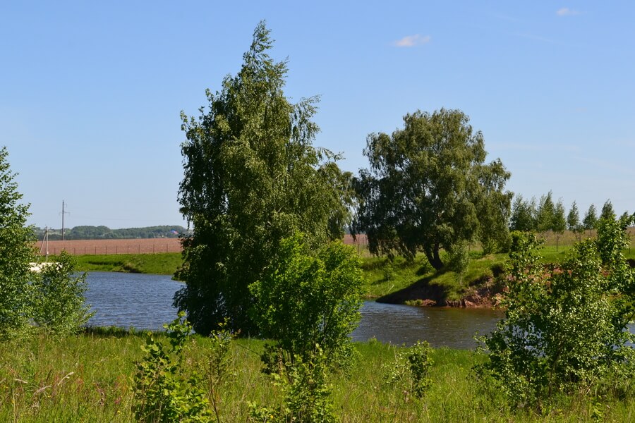 Весна на романовских дачах 2018