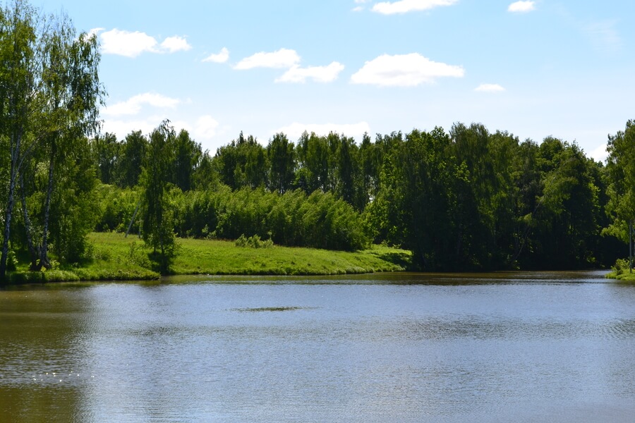 Весна на романовских дачах 2018