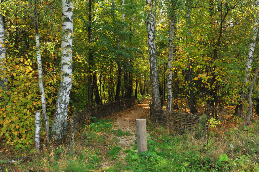 Сентябрь 2012