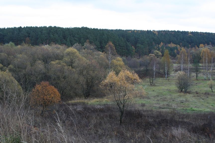 Осенние Романовские дачи!