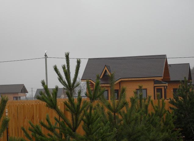 Осенние Романовские дачи!