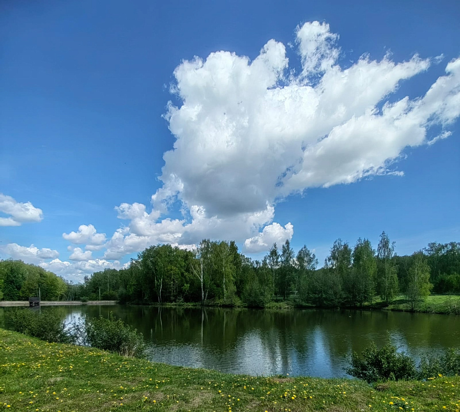 Лето в «Романовских дачах» 2025