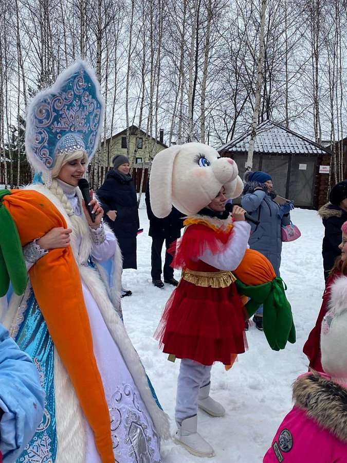 Зима на Романовских дачах 2023 год