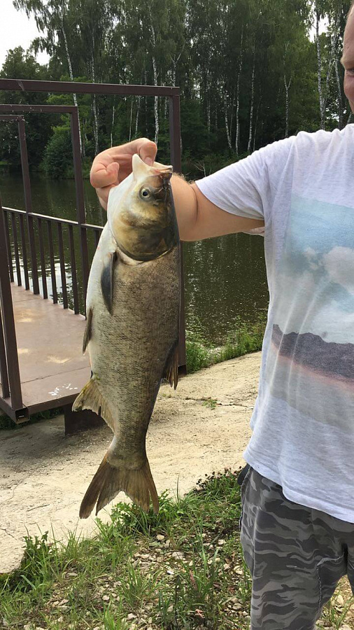 Улов июль 2018