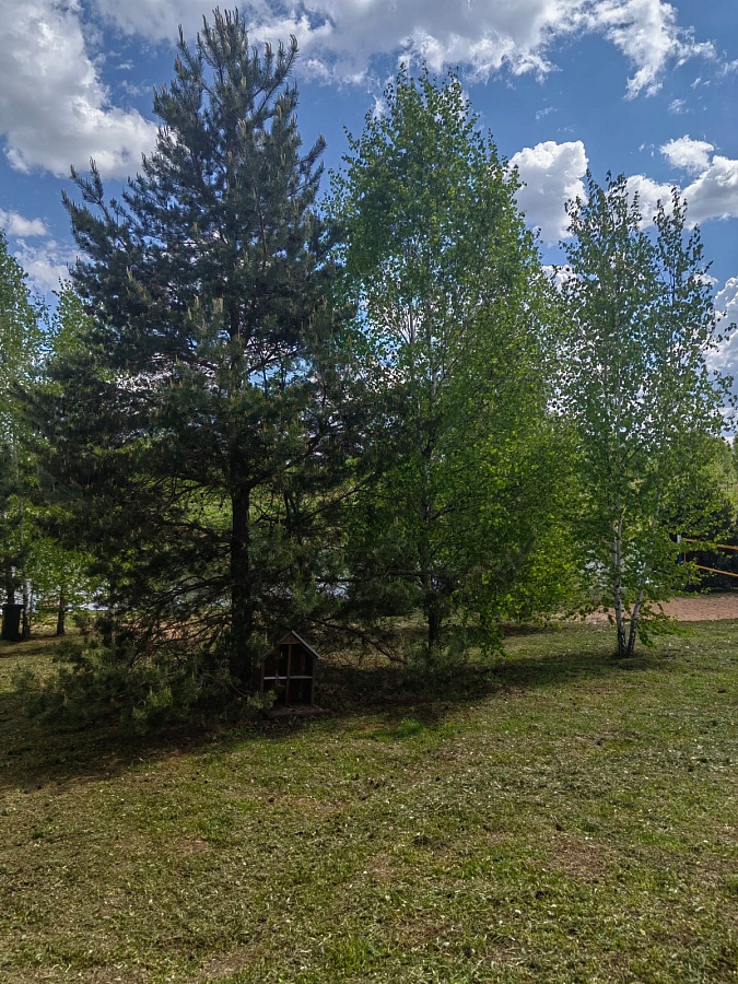 Лето в «Романовских дачах» 2025