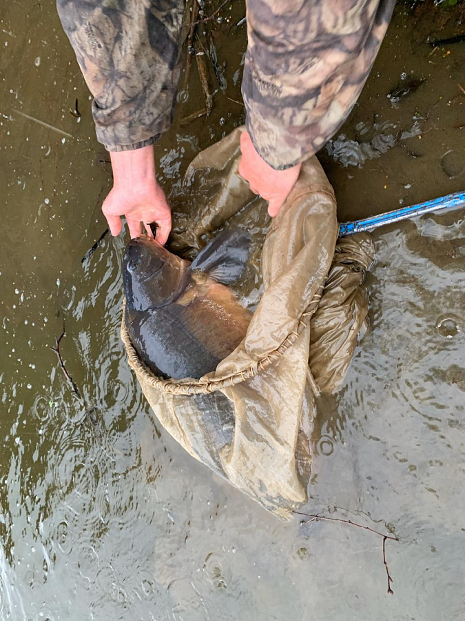 Клуб любителей рыбалки Романовских Дач зарыбили пруд карпами, толстолобиками и другими видами рыб