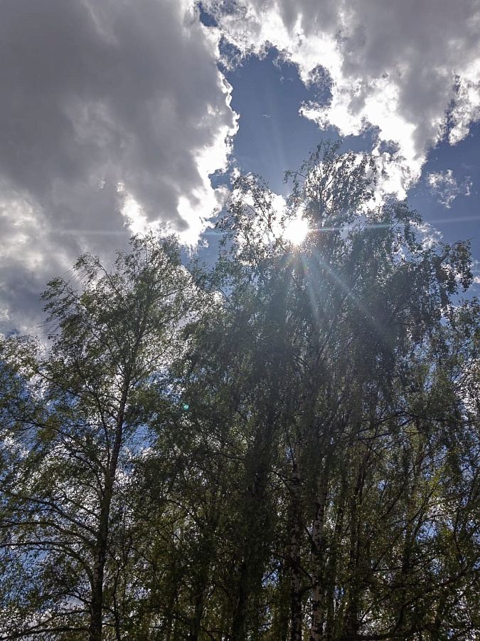 Лето в «Романовских дачах» 2025